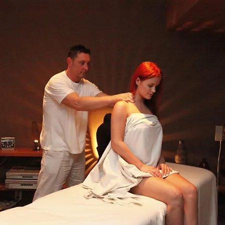 Wellness Stare Mesto ホテル Uherské Hradiště