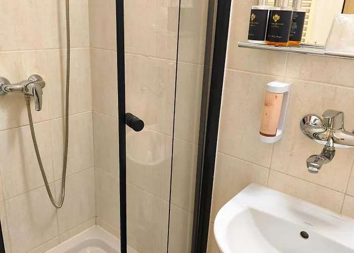 Ξενοδοχείο Wellness Stare Mesto 3*